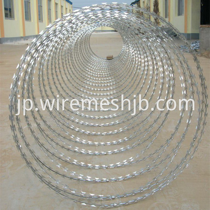 Concertina Razor Wire Fence